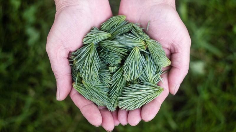 大象在线追剧指南被队友们疼爱了情感解析